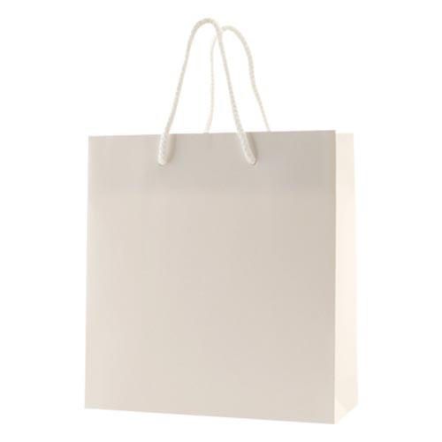 6 x 3.5 x 6.5 MATTE WHITE EUROTOTE SHOPPING BAGS