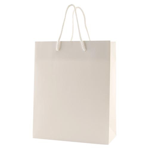 8 x 4 x 10 MATTE WHITE EUROTOTE SHOPPING BAGS