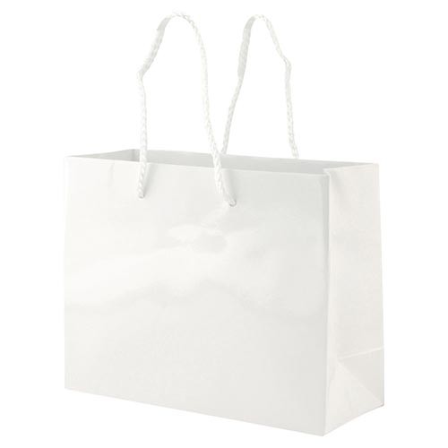9 x 3.5 x 7 WHITE GLOSS PAPER EUROTOTE SHOPPING BAGS