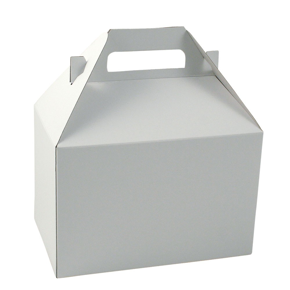 8 x 5 x 5.25 WHITE GLOSS GABLE BOXES