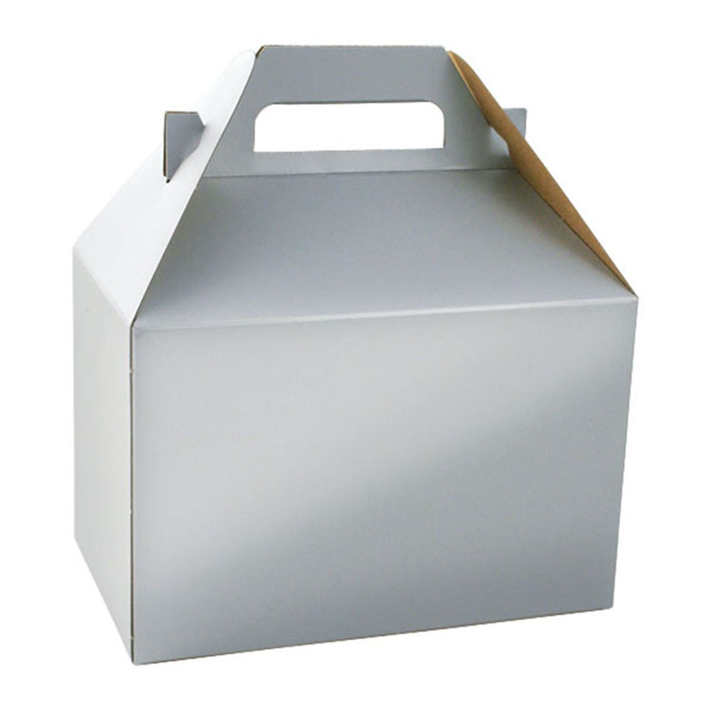 8 x 4.875 x 5.25 PLATINUM SILVER GABLE BOXES