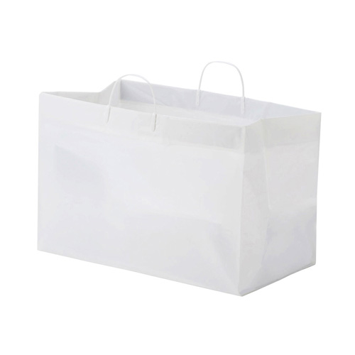 19 x 10 x 12 PLASTIC CATERING BAGS WITH RIGID CLIP LOOP HANDLES