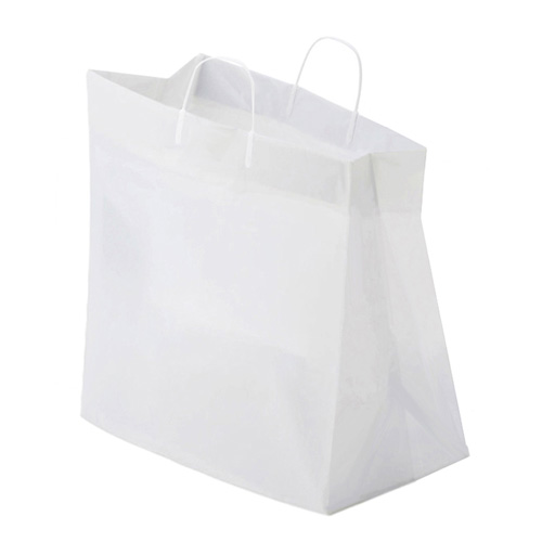 14 x 10 x 14.75 PLASTIC CATERING BAGS WITH LOOP HANDLES