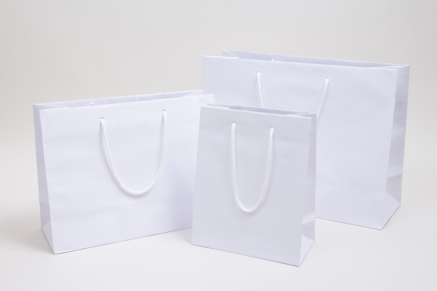 Paper Take-Out Bags - Rope Handles - Rectangle - White - 6..5 x