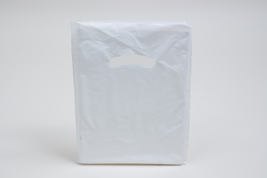 9x12 shop plastic bags