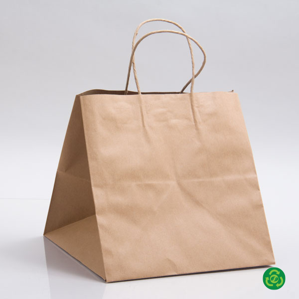 Saving Nature White Paper Medium Retail Bag - with Handles - 10 x 6 3/4 x  12 - 100 count box