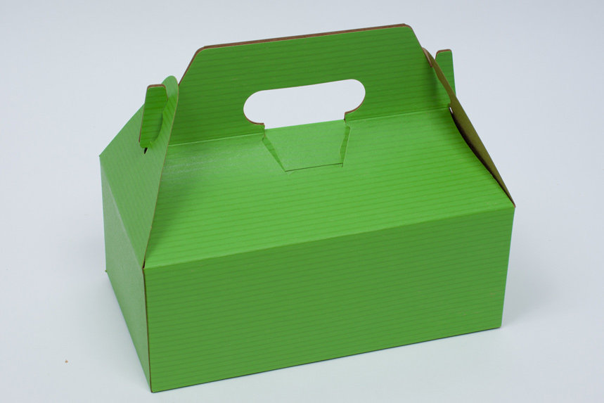 8-7/8 x 5 x 3-1/2 APPLE GREEN PINSTRIPE GABLE BOX - 5LB