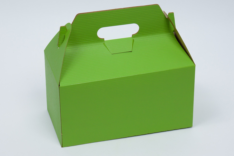 9-1/2 x 5 x 5 APPLE GREEN PINSTRIPE GABLE BOX