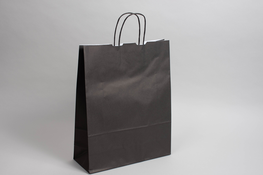 9-3/4 x 4-3/8 x 12-1/4 BRIGHT BLACK TINTED PAPER SHOPPING BAGS