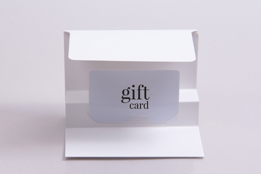 5 x 3-3/8 WHITE ICE GIFT CARD FOLDERS