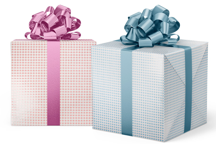 24-in x 417-ft PINK & BLUE GINGHAM REV GIFT WRAP (GW-1758)