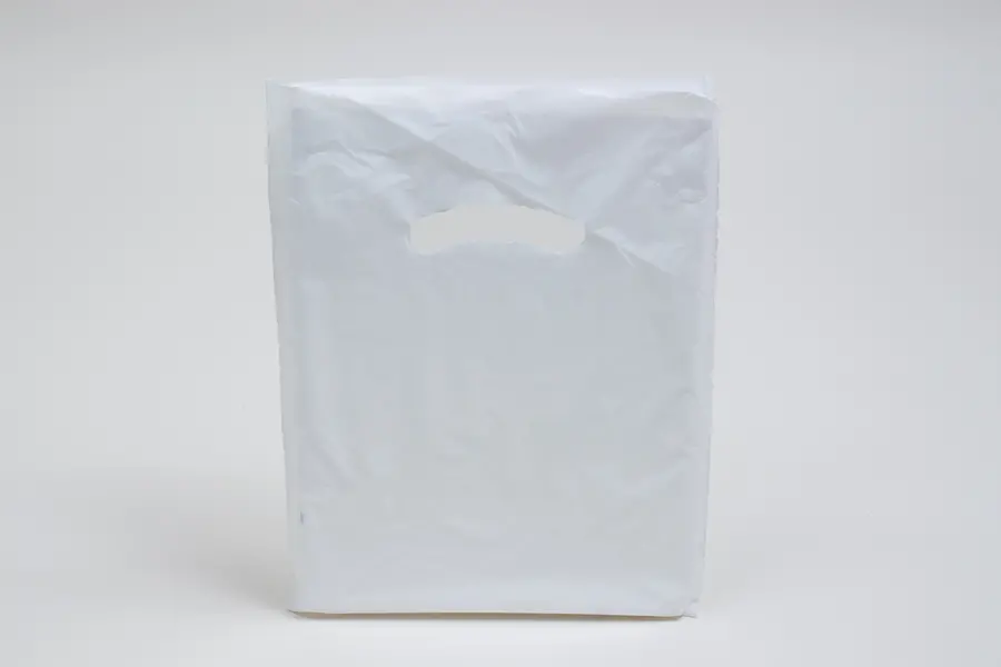 9X12 WHITE GLOSS PLASTIC BAGS