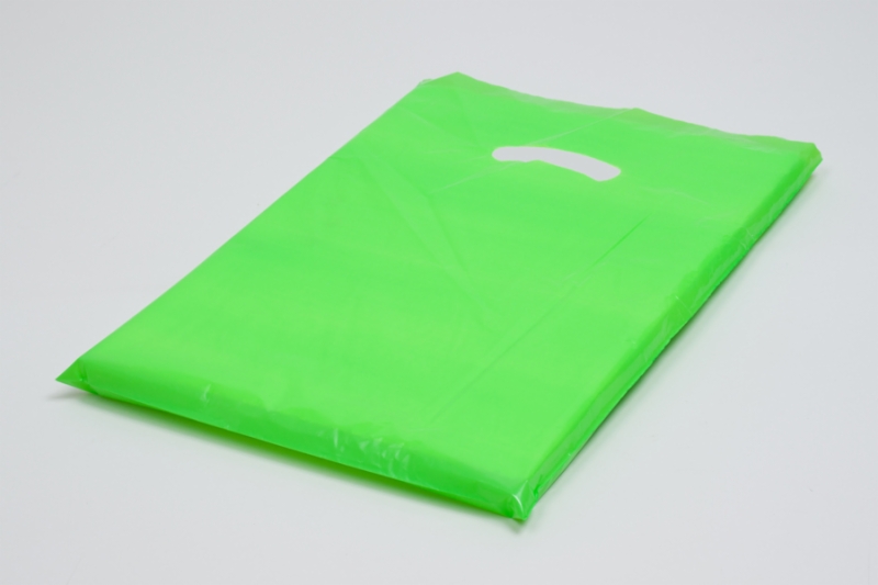 ★TOUT Y EST★ Glossy padding bagGreen ns21 12x15-citrus-