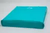 20X20X5 TEAL GLOSS PLASTIC BAGS