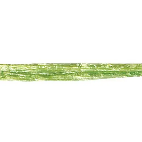 100YDS PEARL WRAPHIA-JUNGLE GR