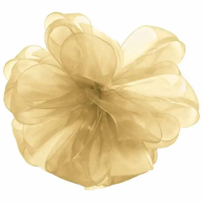 未開封 RIBBON \"Beautiful & Resistance\" ラレーヌ fit=scale-down,w=1200