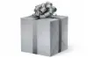 24X417 LL-03 S5 LENOX LINED SILVER
