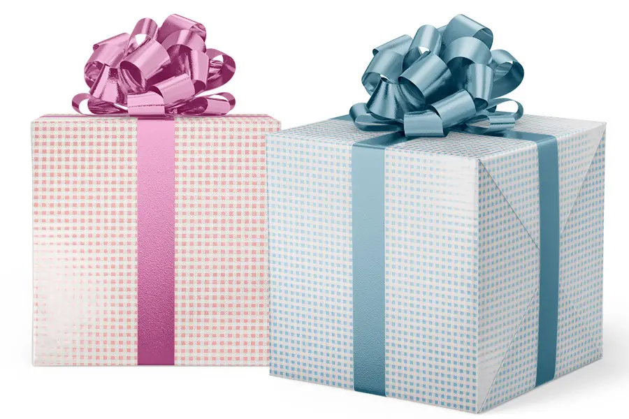 24X417 GW-1758 S5 PINK & BLUE GINGHAM REV