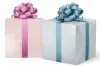 24X417 GW-1758 S5 PINK & BLUE GINGHAM REV