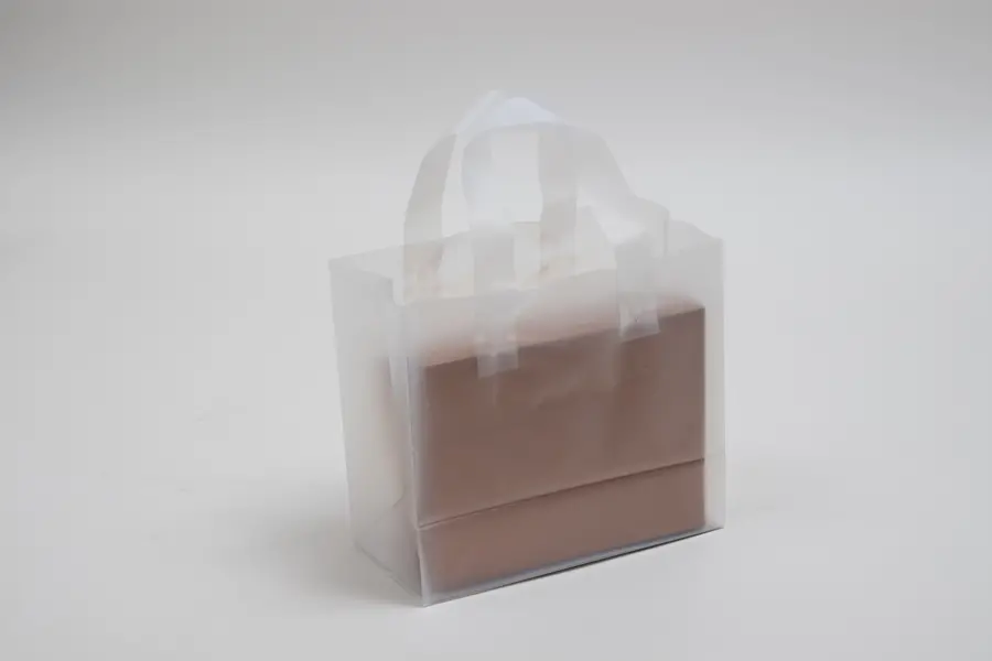 8X5X10 FROSTED LOOP-CLEAR