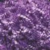 <10 LB. ACCORD. SHRED-LAVENDER