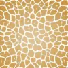 20X30 TISSUE GIRAFFE "B"