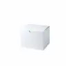 5X5X3 WHITE GIFT BOX