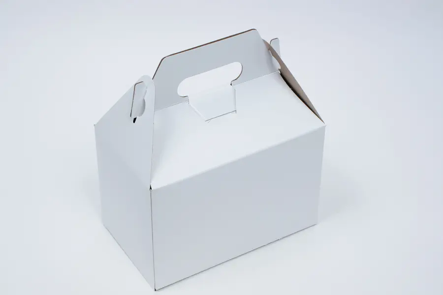 8-7/8 X 5 X 6-3/4 WHITE GABLE BOX 10 LB