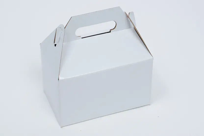 4 X 2-1/2 X 2-1/2 WHITE GABLE BOX