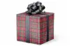 24X417 GW-2579 S6 TARTAN KILT