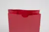6#  6 X 3 5/8 X 11 1/6 RED SOS BAG
