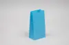 2#   3 1/4 X 2 3/8 X 8 3/16 SKY BLUE SOS BAG