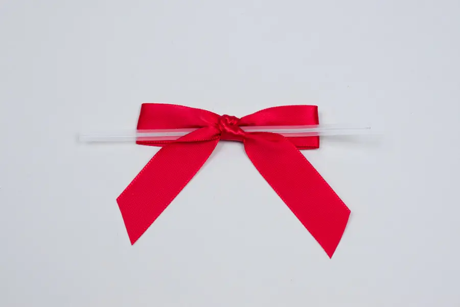 é ribbon satin 2way body bag 2.webp