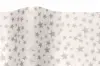 20X30 TISSUE SILVER STARS/WHIT "A"