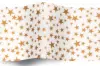 20X30 TISSUE GOLD STAR/WHITE "A"
