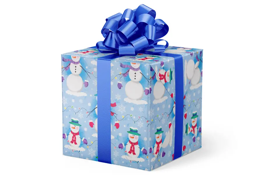 24X417 VAL-05 FROSTY LIGHTS 40#