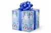 24X417 VAL-05 FROSTY LIGHTS 40#