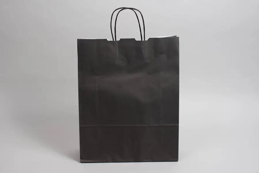 9-3/4 X 4-3/8 X 12-1/4 TINTED BLACK SHOP BAG