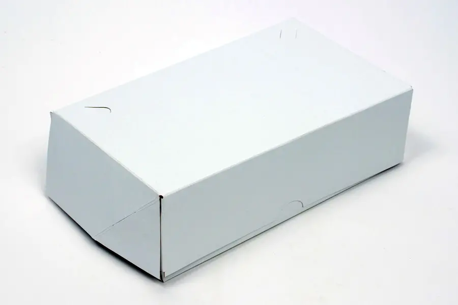 9 X 5-1/2 X 2-3/4 WHITE SNAK-PAK CARRY OUT BOX