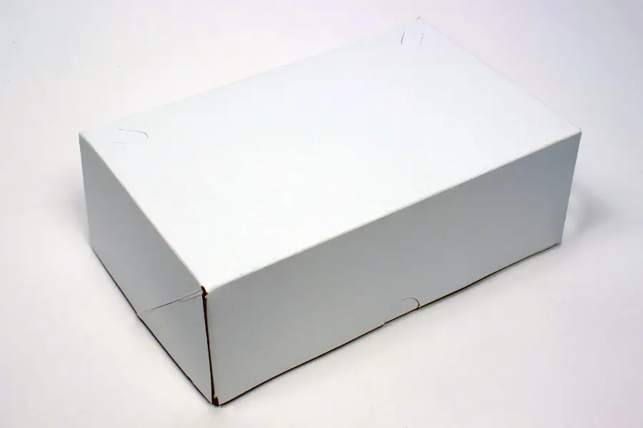 9-7/8 X 6-3/8 X 3-7/16 WHITE SNAK-PAK CARRY OUT BOX