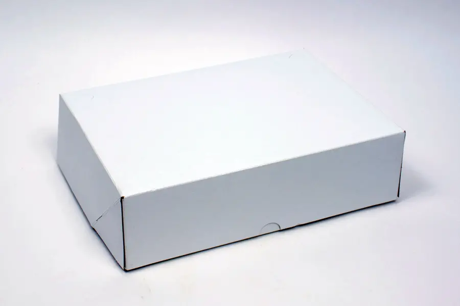 12-1/2 X 9-3/8 X 3-1/2 WHITE SNAK-PAK CARRY OUT BOX