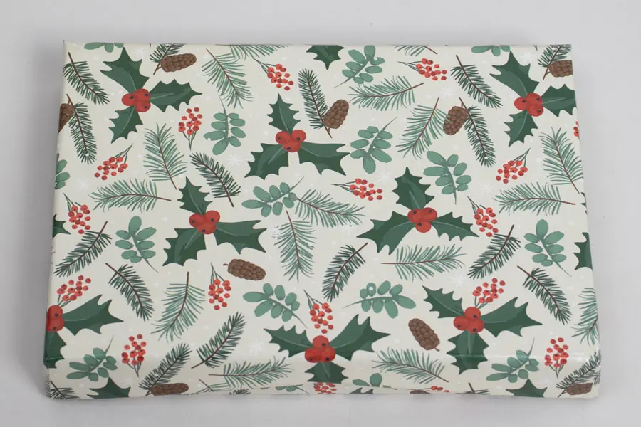 4-5/8X3-3/8X5/8 HOLLY JOLLY PAPER POP UP INSERT