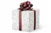 24X417 GW-9496 S6 WINTER GARDEN EMBOSSED