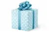 24X417 GW-9523 S2 BLUE SEASHELLS