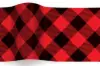 20X30 TISSUE BUFFALO PLAID "B"