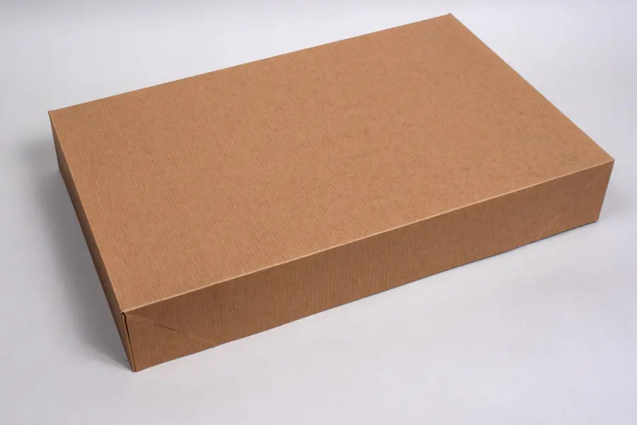19X12X3 NAT. KRAFT APPAREL BOX