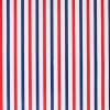 Red & Blue Stripe