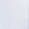 White Alligator